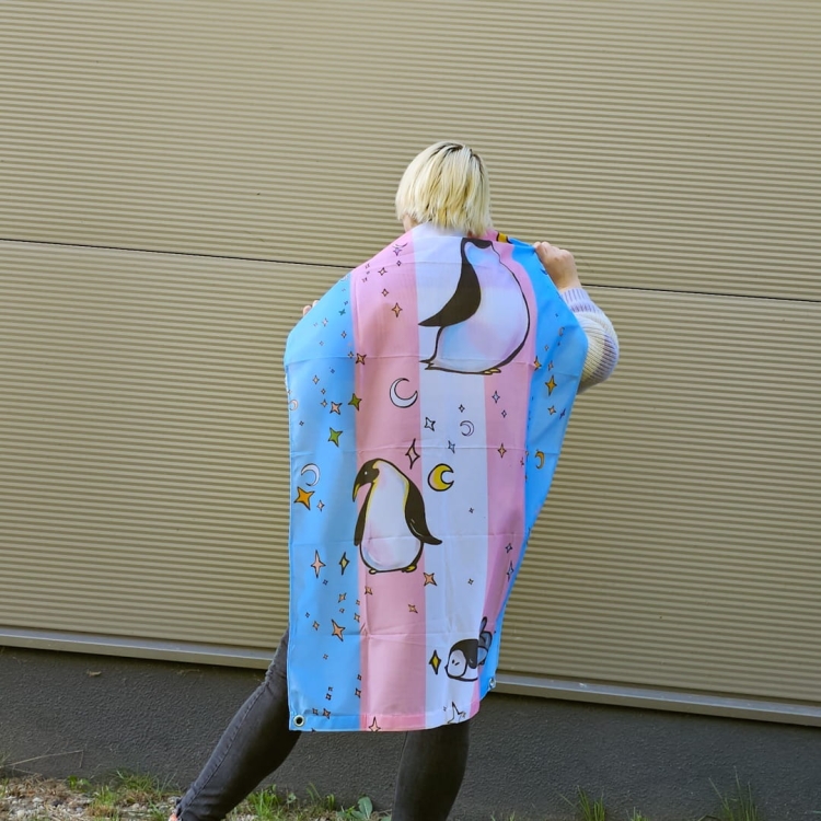 trans flag with cute penguins