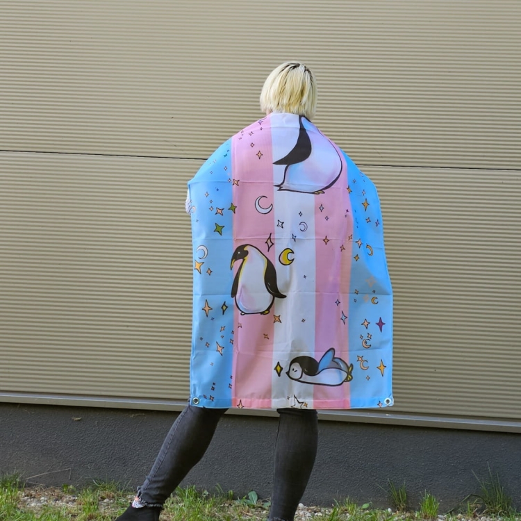 trans flag with cute penguins