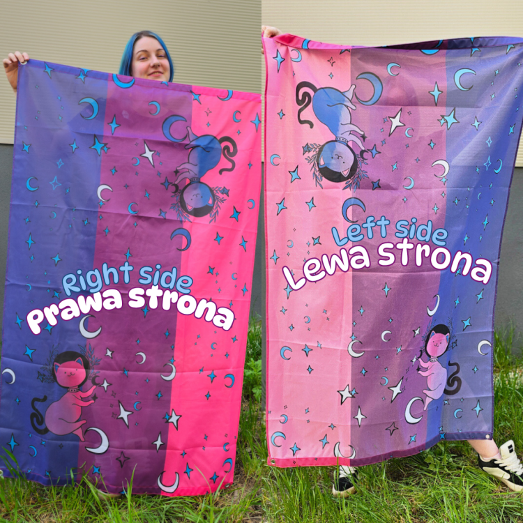 flaga z kotami queerowa bi les  (1).png